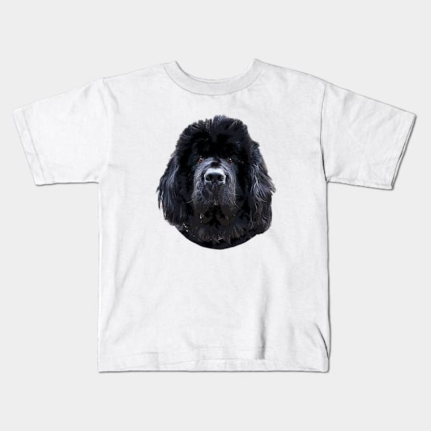 Newfoundland Puppy Dog Kids T-Shirt by ElegantCat